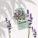 Mascarilla hidratante con Lavanda - I'm Lavender